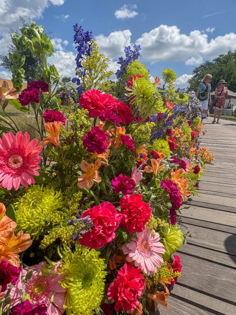 Bloom as BSP flowers things to do in Tampa Bay