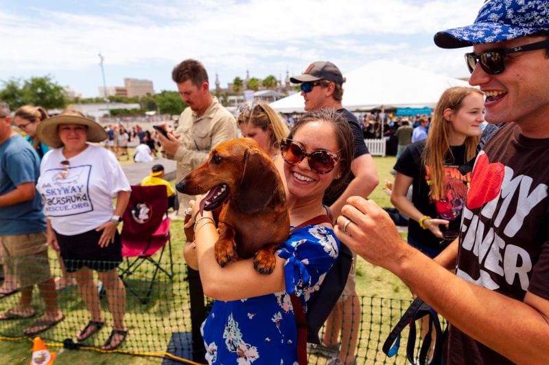 The Tampa Riverfest includes weiner dog races!
