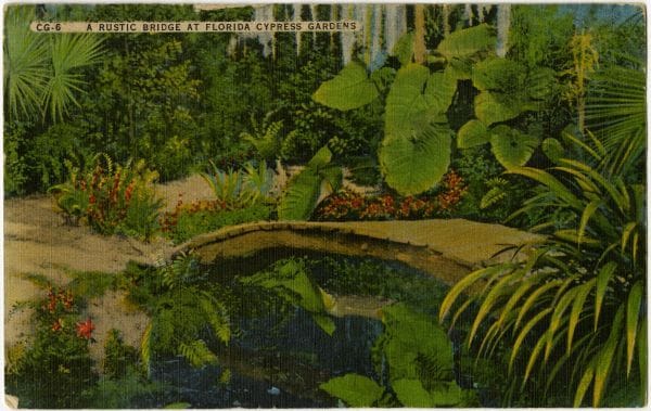 Old Florida Attractions: Cypress Gardens