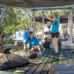 ZooTampa Behind the Scenes Vet Tour feeding manatee