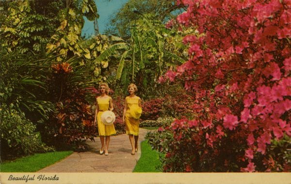 Old Florida Attractions: Sunken Gardens