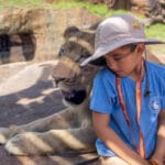 Busch Gardens Lion and Hyena Ridge Little boy by lion 2