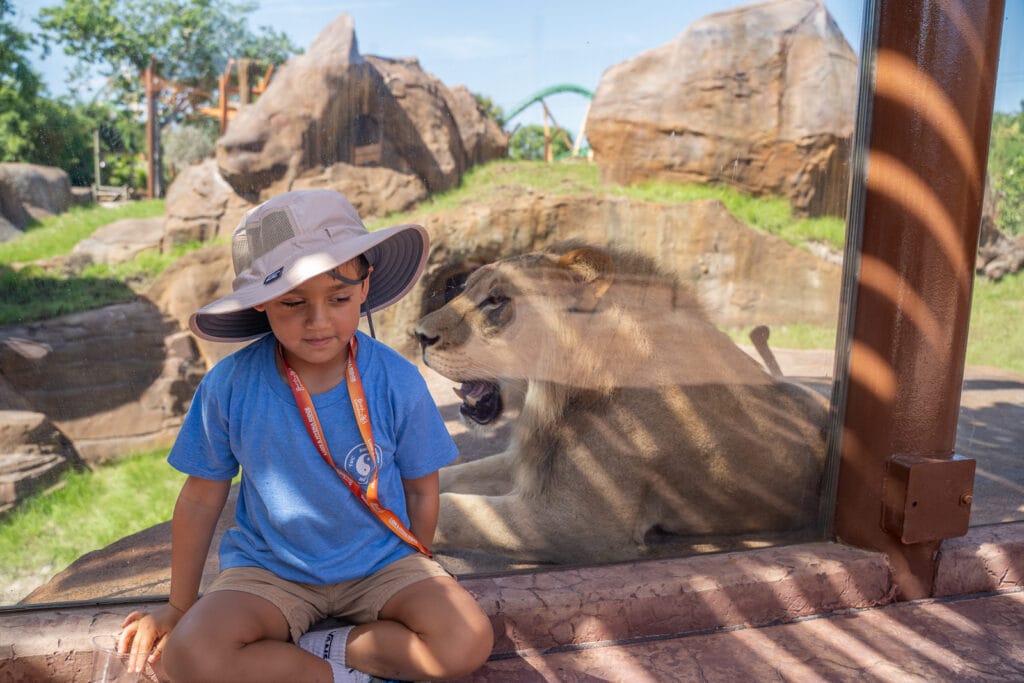 The adorable son of our pal Ray Roa, co-owner and editor-in-chief of Creative Loafing, poses with Lou the lion!