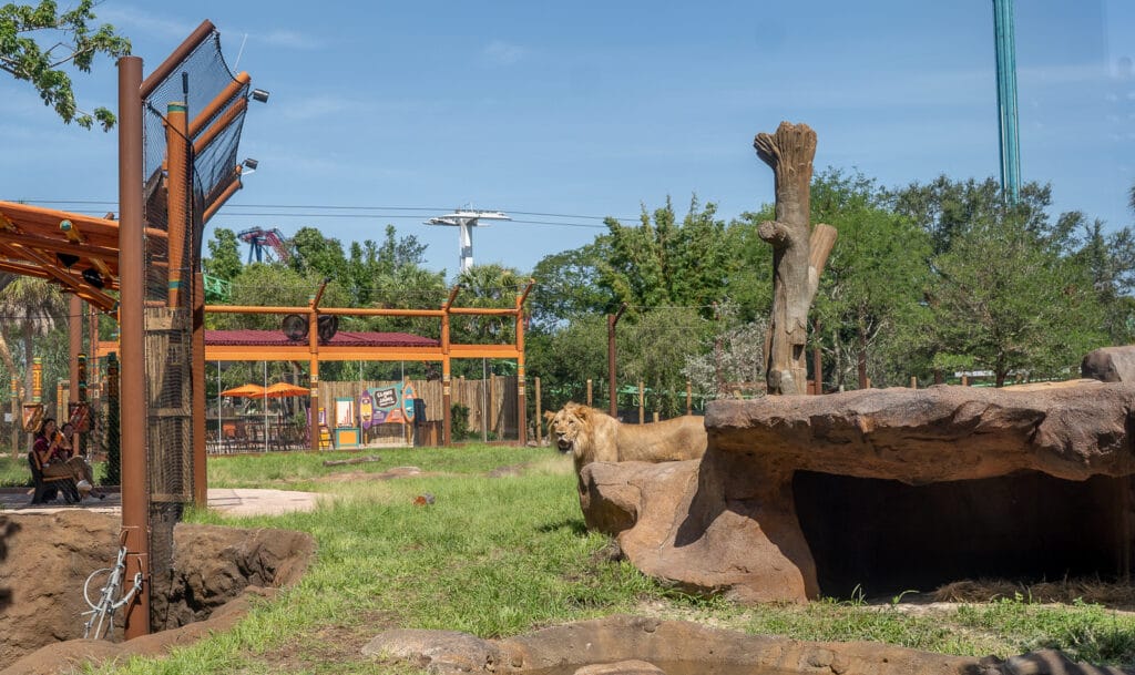 Another angle of Lion & Hyena Ridge you'll be able to experience.