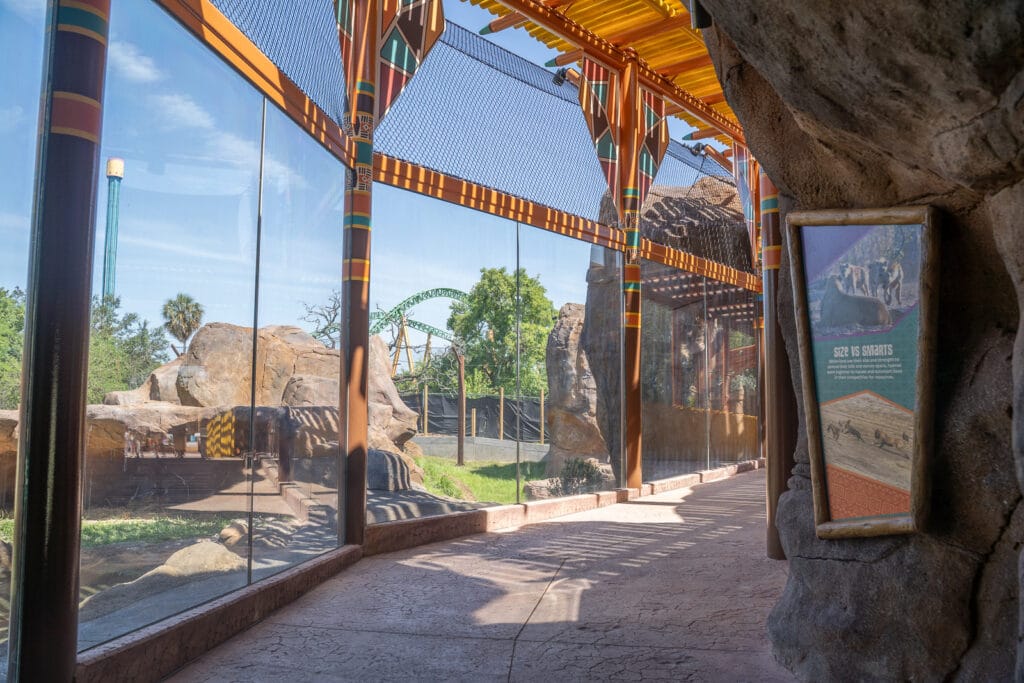 shaded walkway inside Lion & Hyena Ridge 