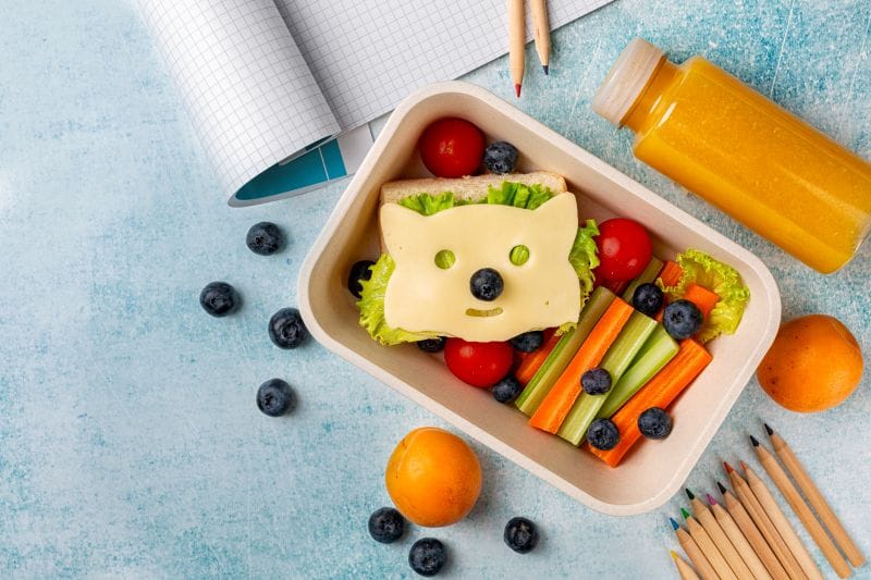 FL Dairy Farmers Snackbox lunch with cheese