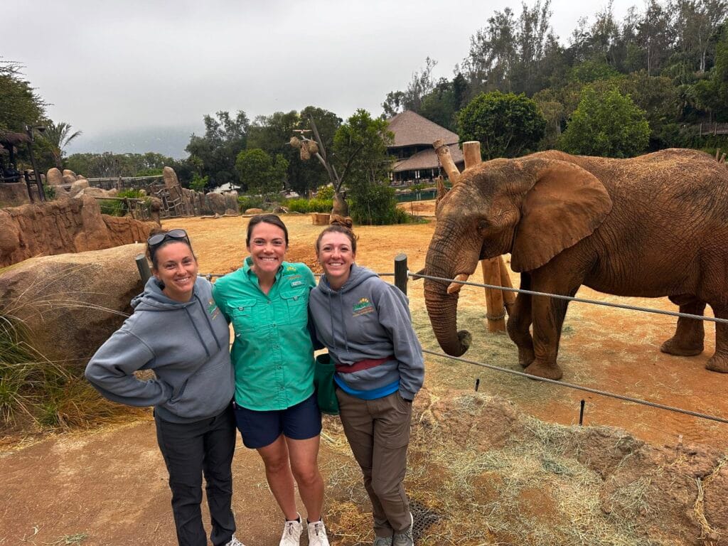 ZooTampa elephant transfer to San Diego Zoo Safari