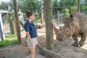 ZooTampa Baby Boom new baby rhinos
