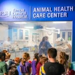 Cuddle Clinic at Florida Aquarium
