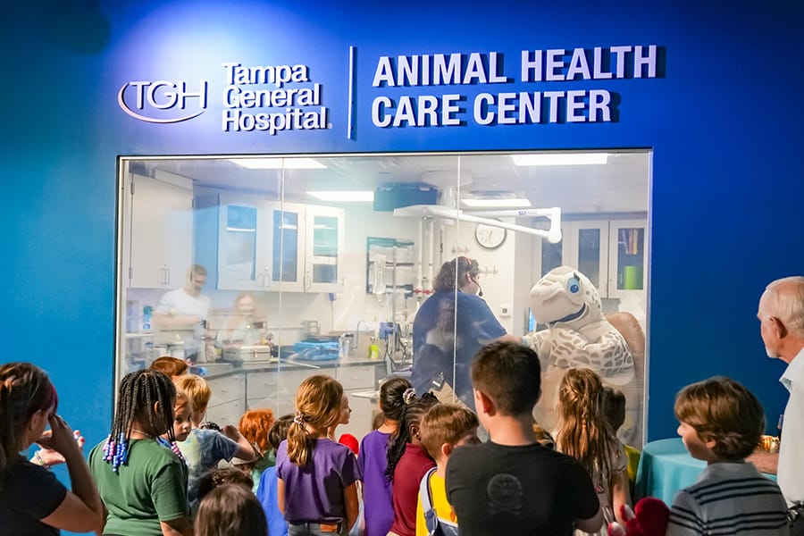 Cuddle Clinic at Florida Aquarium