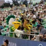 Tampa Bay Rowdies Mascots in the crowd