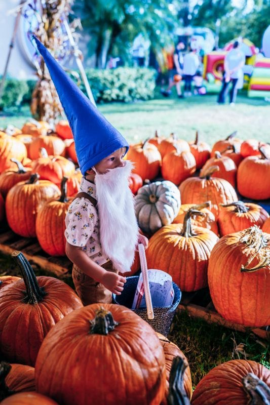 Watermelon Fall Fest Kid in pumpkin patch