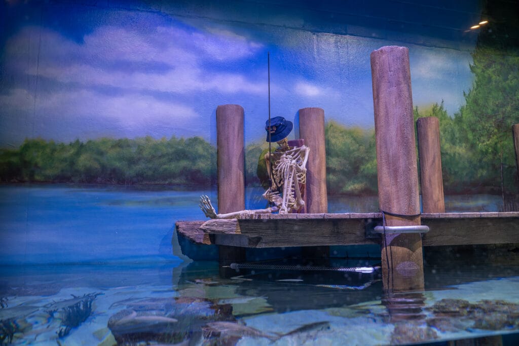 ZooTampa Creatures of the Night Skeleton in Florida Waters