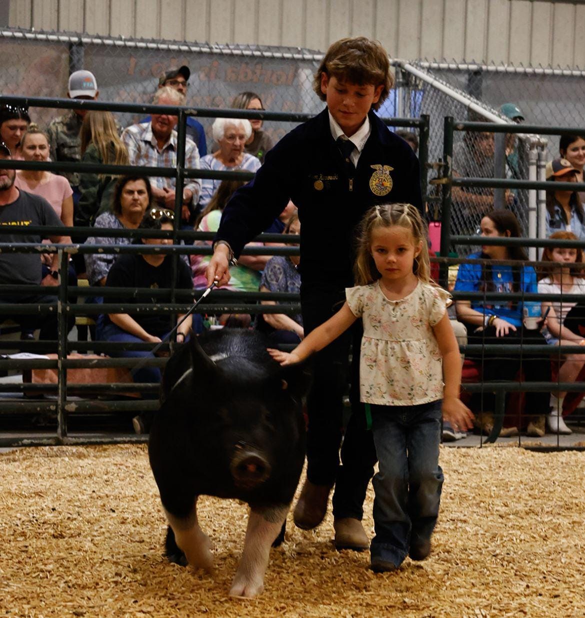 Hillsborough County Fair Photo